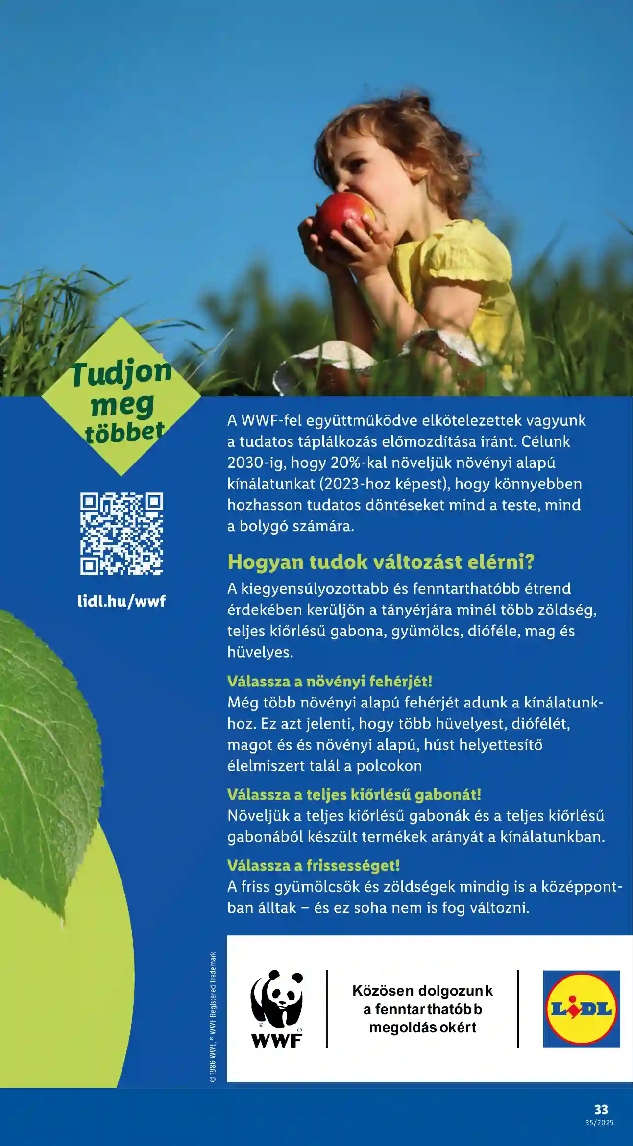 Lidl akciós újság 35. hét (Érvényes 08.28-tól) (27 oldal)
