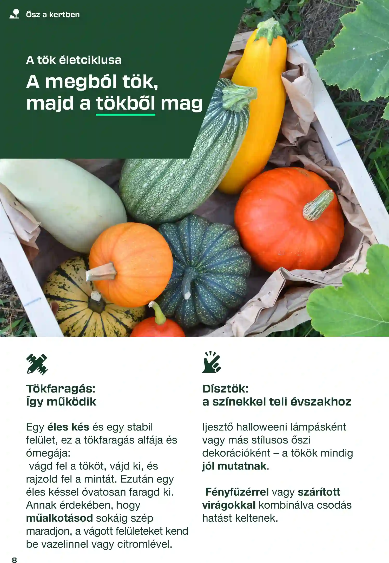Lidl akciós újság 35. hét (Parkside Barkácsmagazin) (23 oldal)