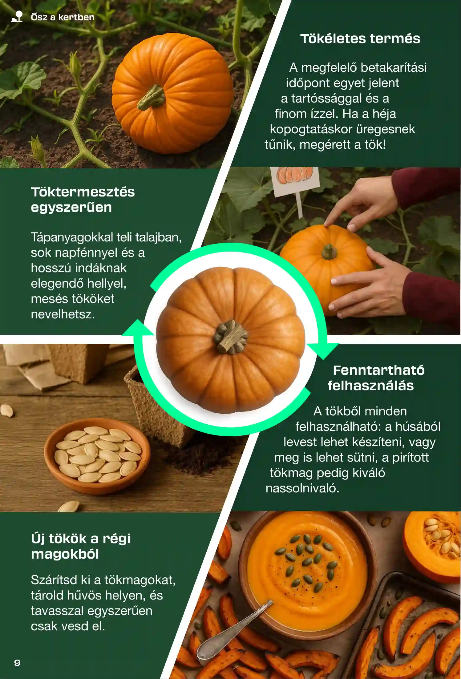 Lidl akciós újság 35. hét (Parkside Barkácsmagazin) (24 oldal)