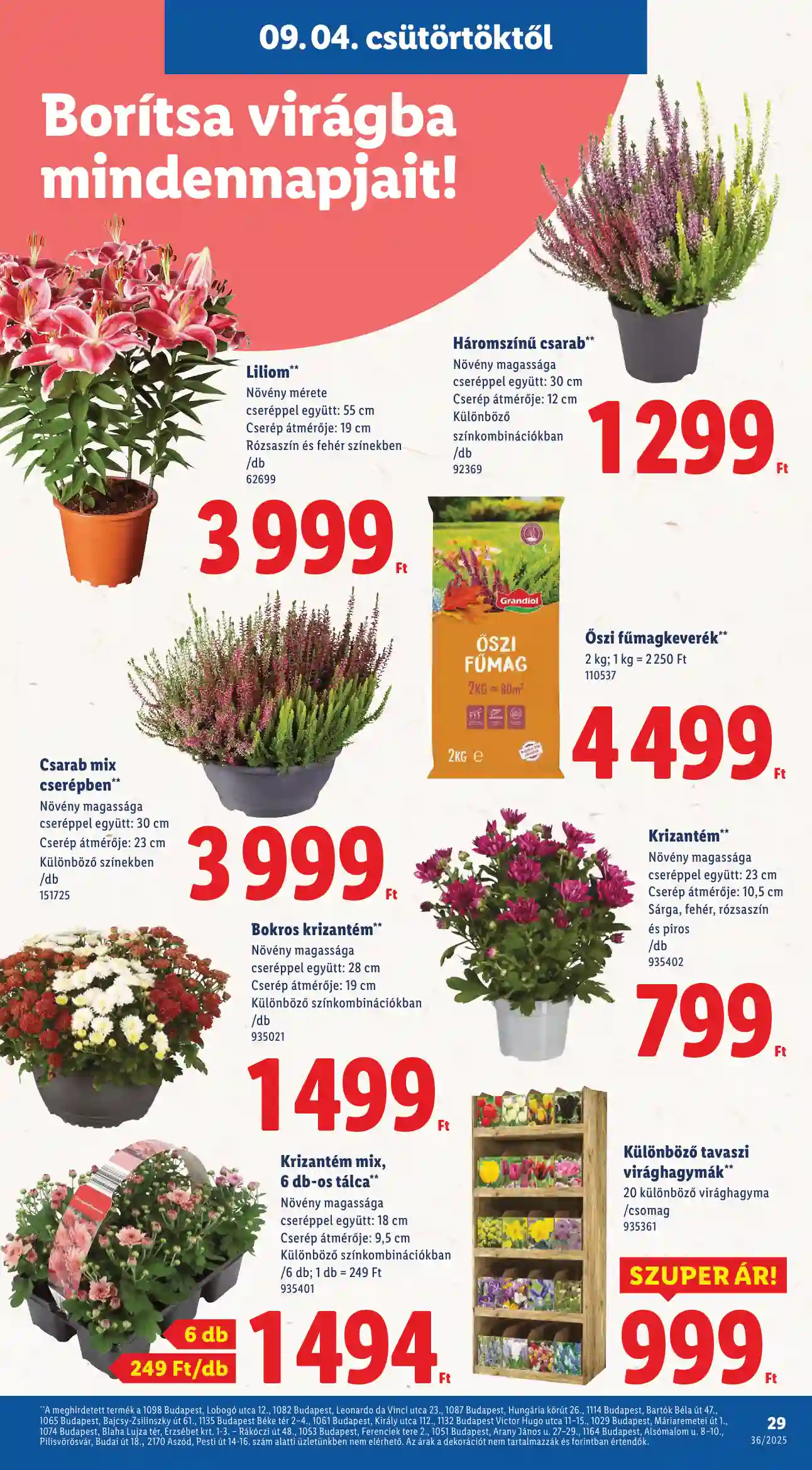 Lidl akciós újság 36. hét (Érvényes 09.04-től) (22 oldal)