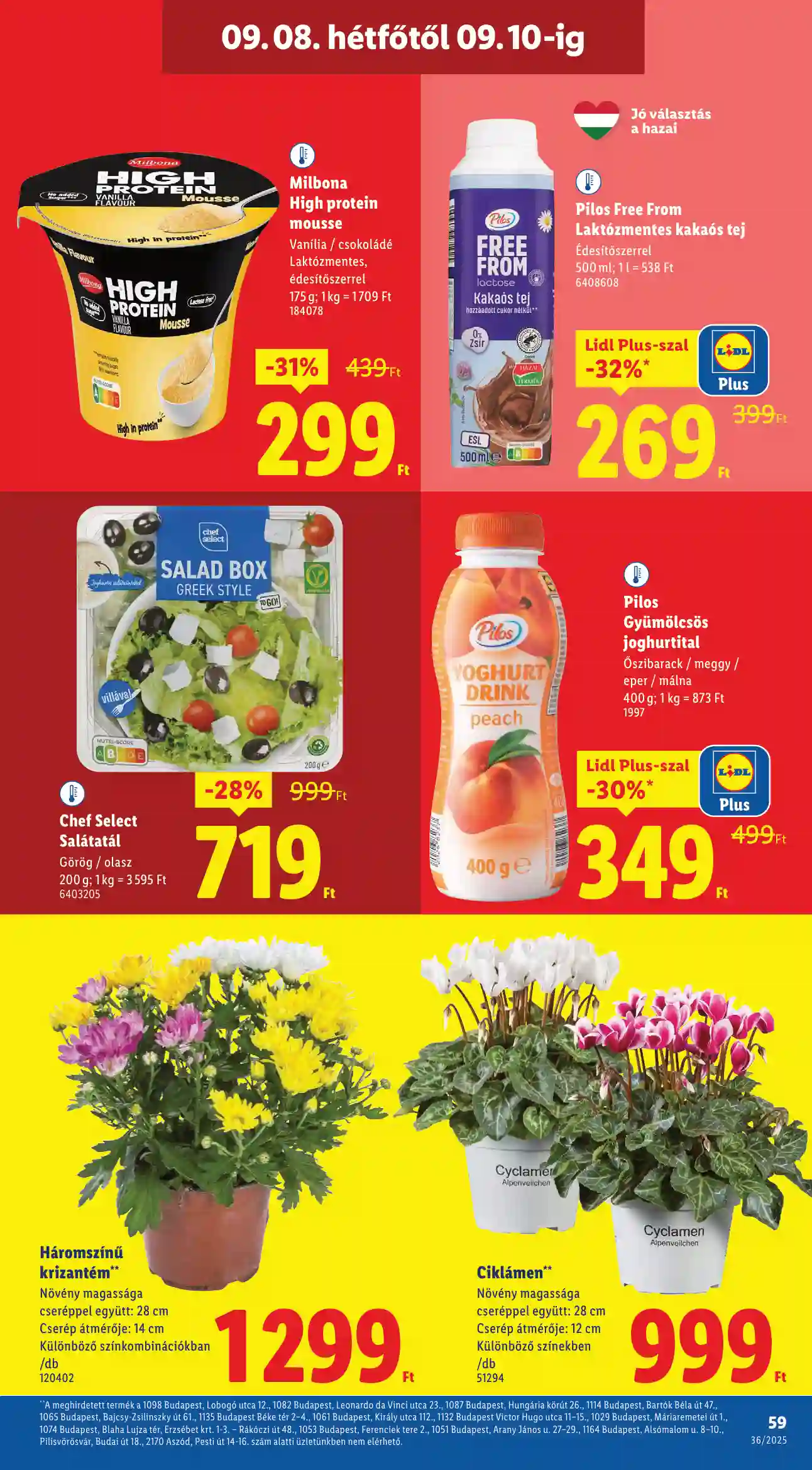 Lidl akciós újság 36. hét (Érvényes 09.04-től) (55 oldal)