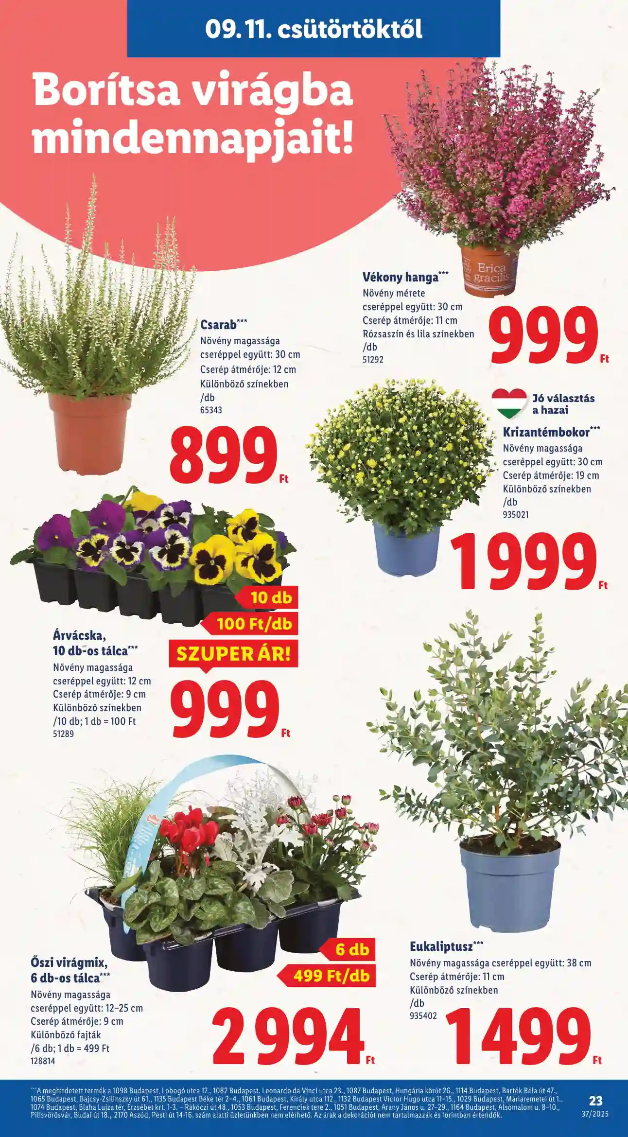 Lidl akciós újság 37. hét (Érvényes 09.11-től) (16 oldal)