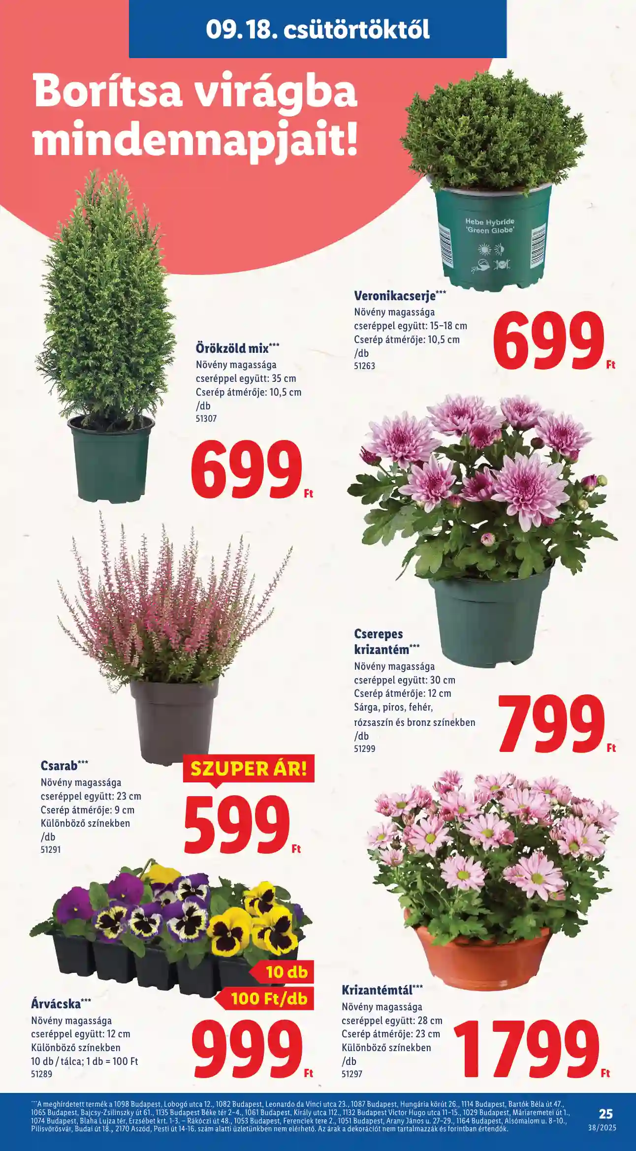 Lidl akciós újság 38. hét (Érvényes 09.18-től) (18 oldal)