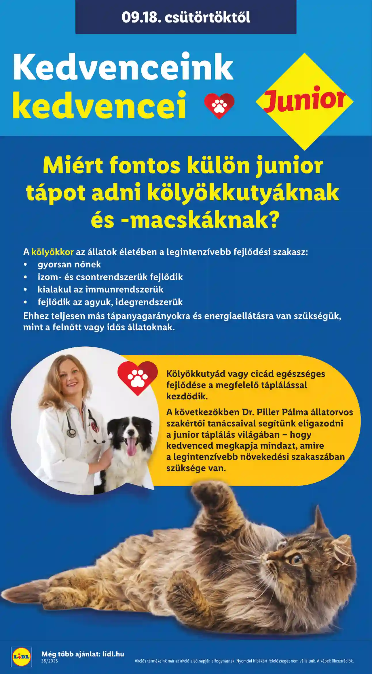 Lidl akciós újság 38. hét (Érvényes 09.18-től) (23 oldal)