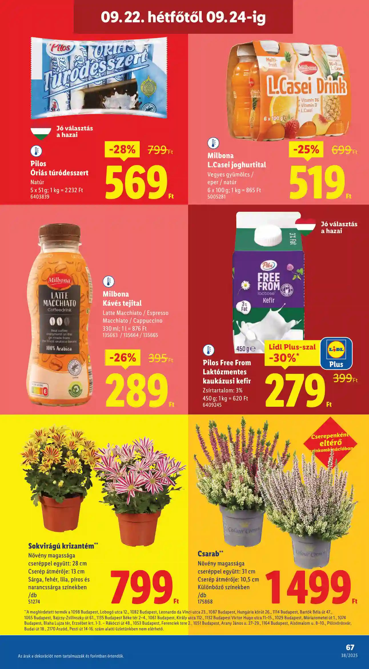Lidl akciós újság 38. hét (Érvényes 09.18-től) (64 oldal)