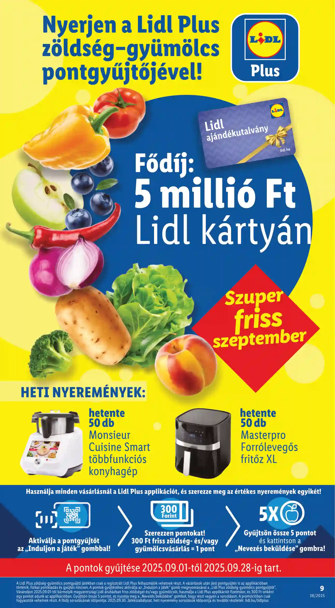 Lidl akciós újság 38. hét (Érvényes 09.18-től) (75 oldal)
