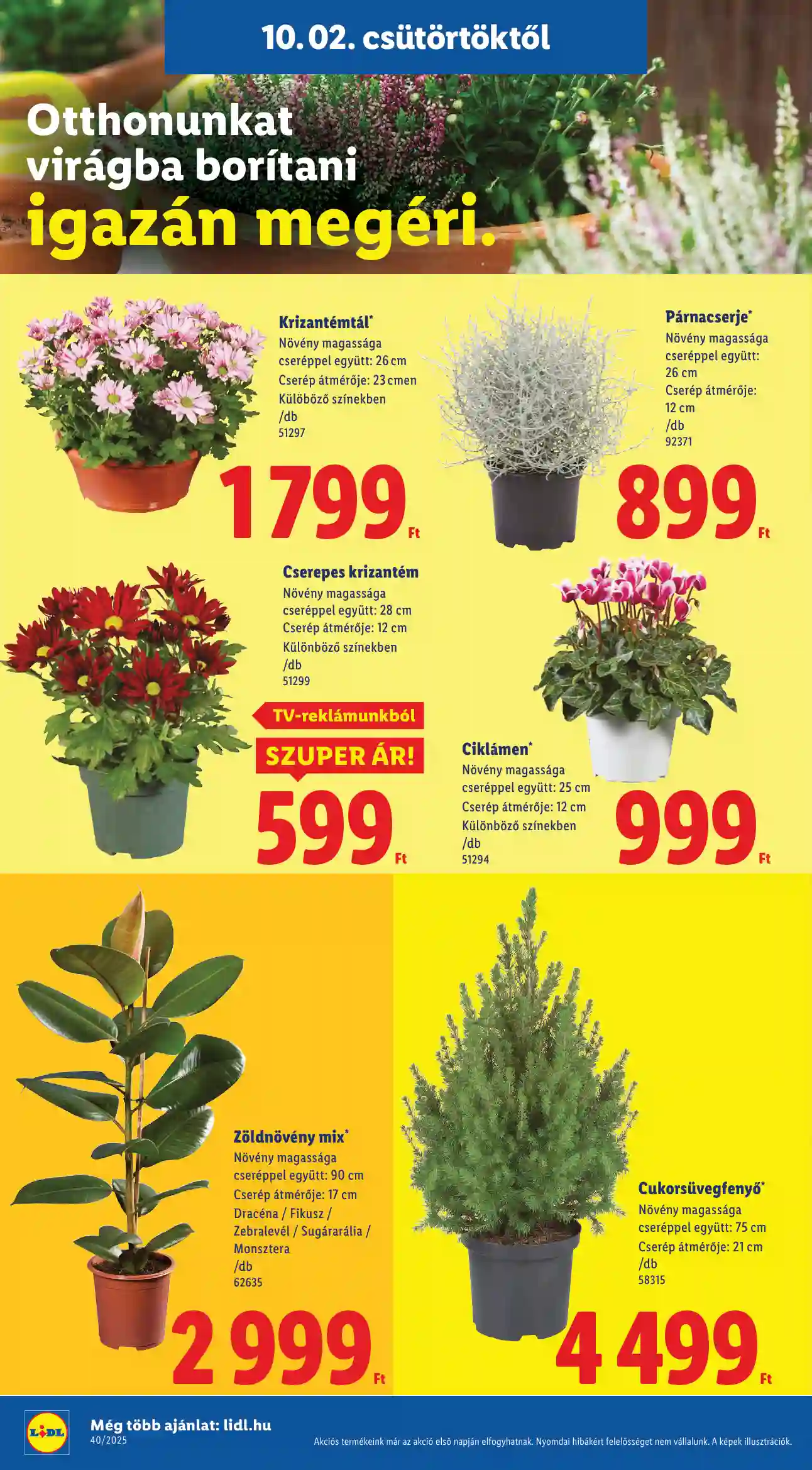 Lidl akciós újság 40. hét (Érvényes 10.02-től) (21 oldal)