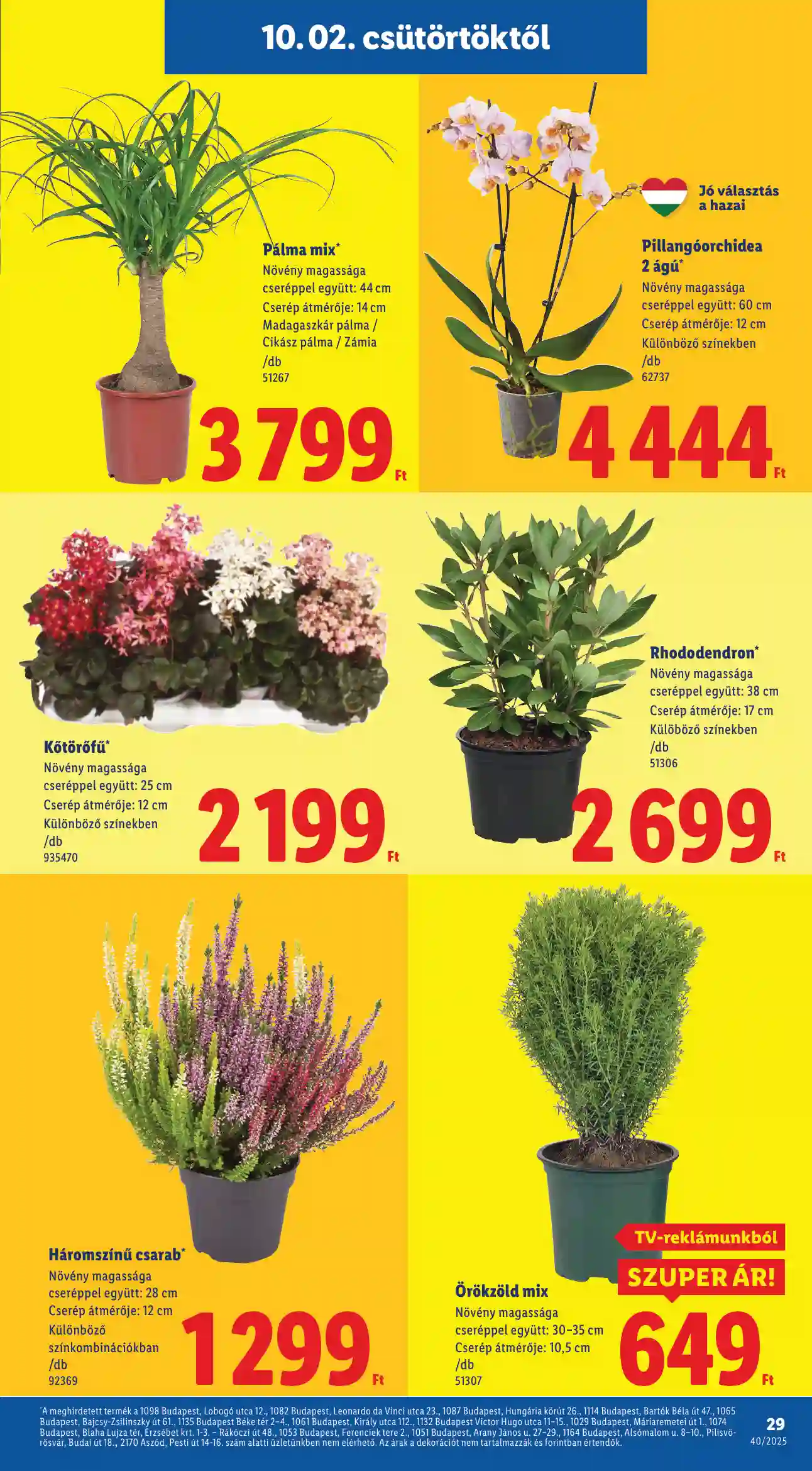 Lidl akciós újság 40. hét (Érvényes 10.02-től) (22 oldal)