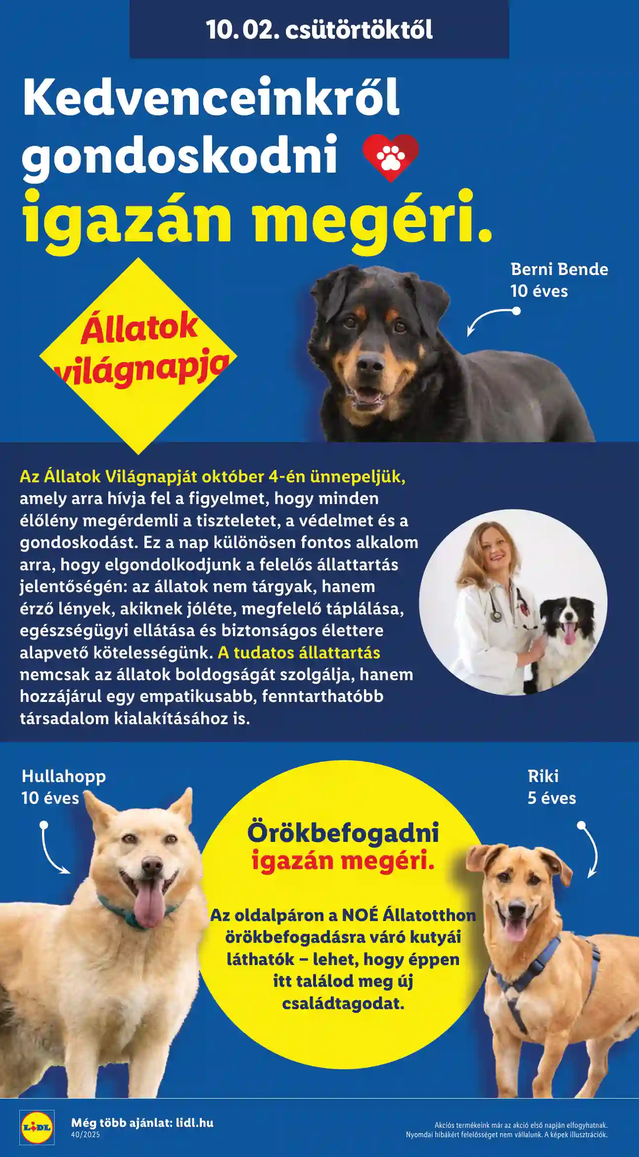 Lidl akciós újság 40. hét (Érvényes 10.02-től) (23 oldal)
