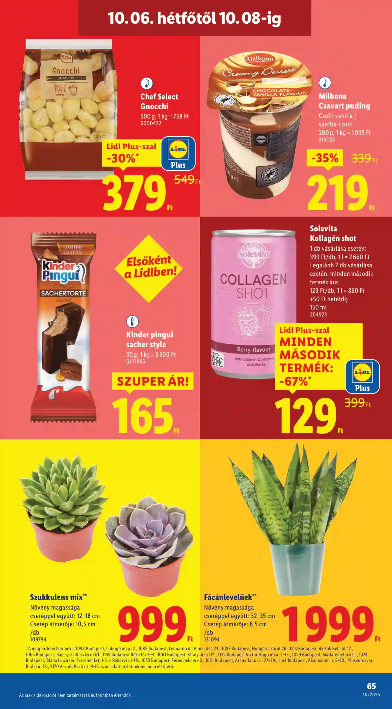 Lidl akciós újság 40. hét (Érvényes 10.02-től) (62 oldal)