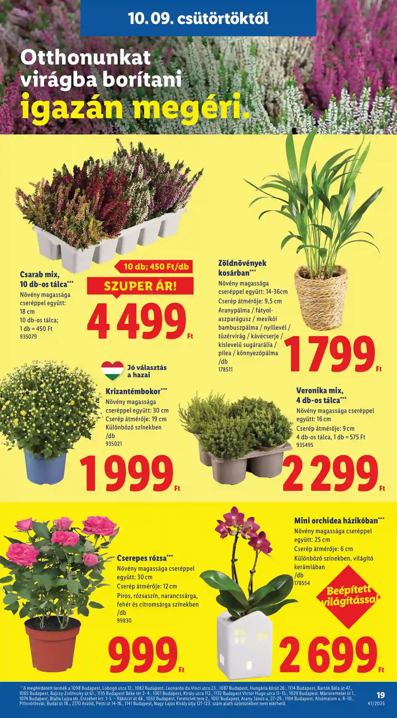 Lidl akciós újság 41. hét (Érvényes 10.09-től) (11 oldal)