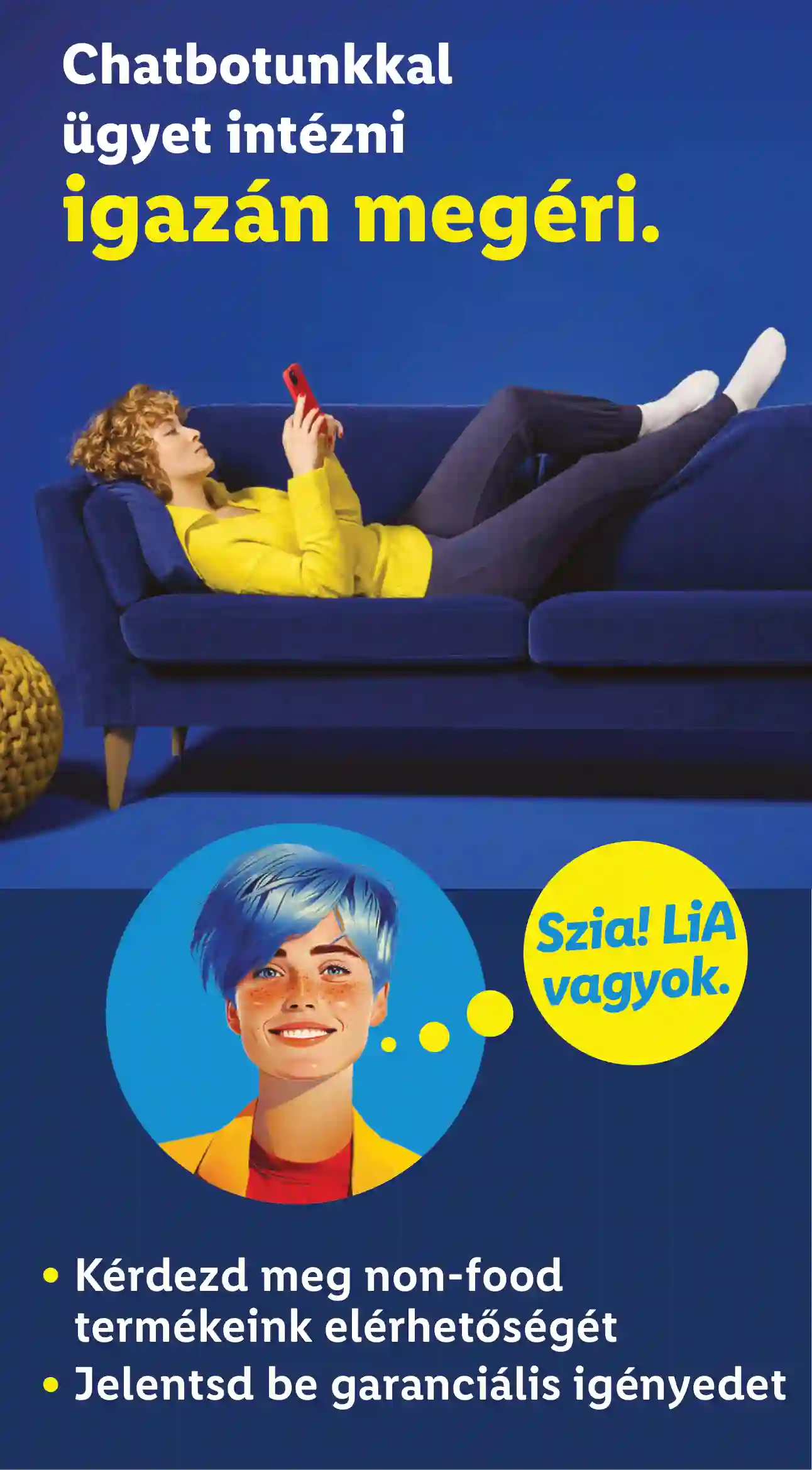 Lidl akciós újság 41. hét (Érvényes 10.09-től) (17 oldal)