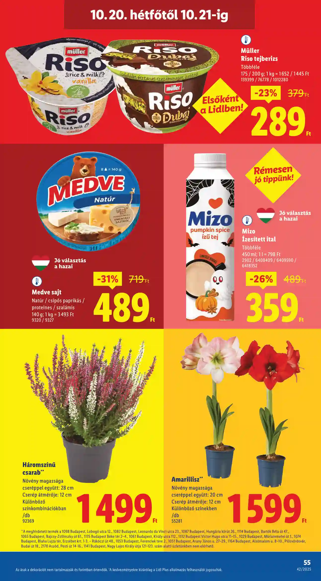 Lidl akciós újság 42. hét (Érvényes 10.16-től) (51 oldal)