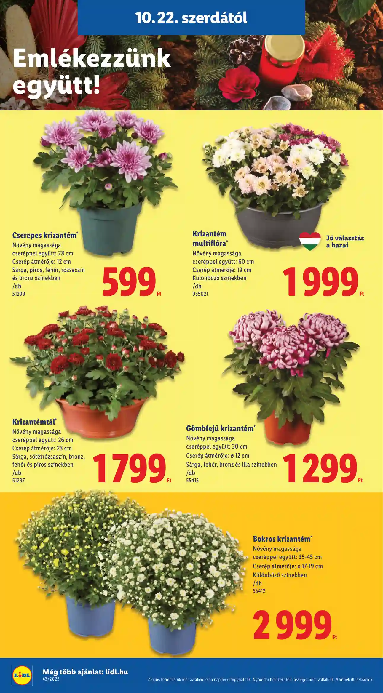 Lidl akciós újság 43. hét (Érvényes 10.22-től) (10 oldal)
