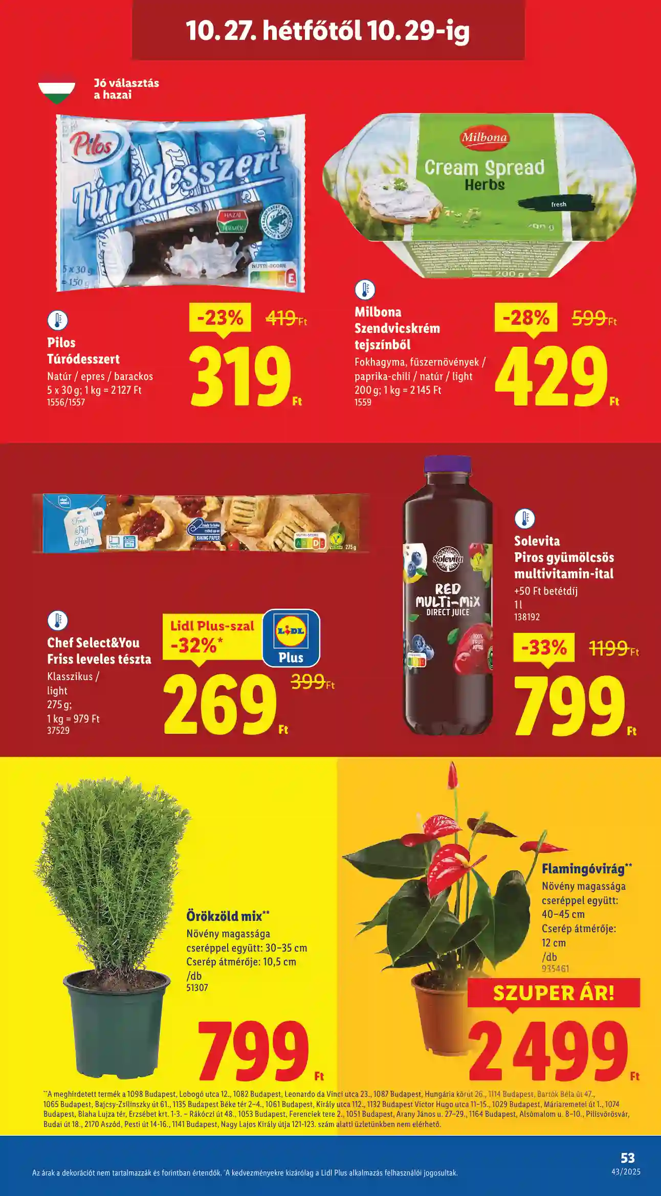 Lidl akciós újság 43. hét (Érvényes 10.22-től) (49 oldal)