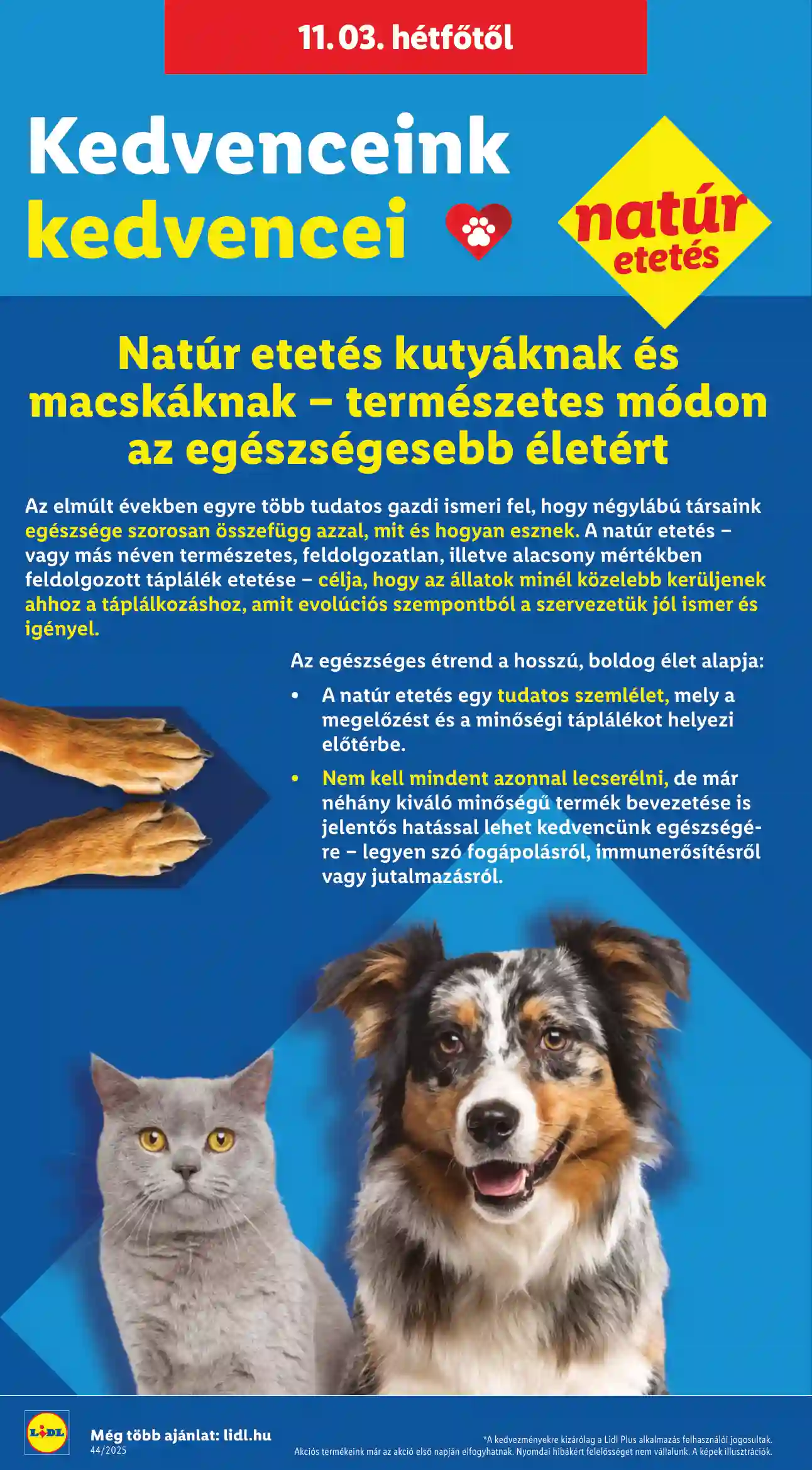 Lidl akciós újság 44. hét (Érvényes 10.30-tól) (37 oldal)