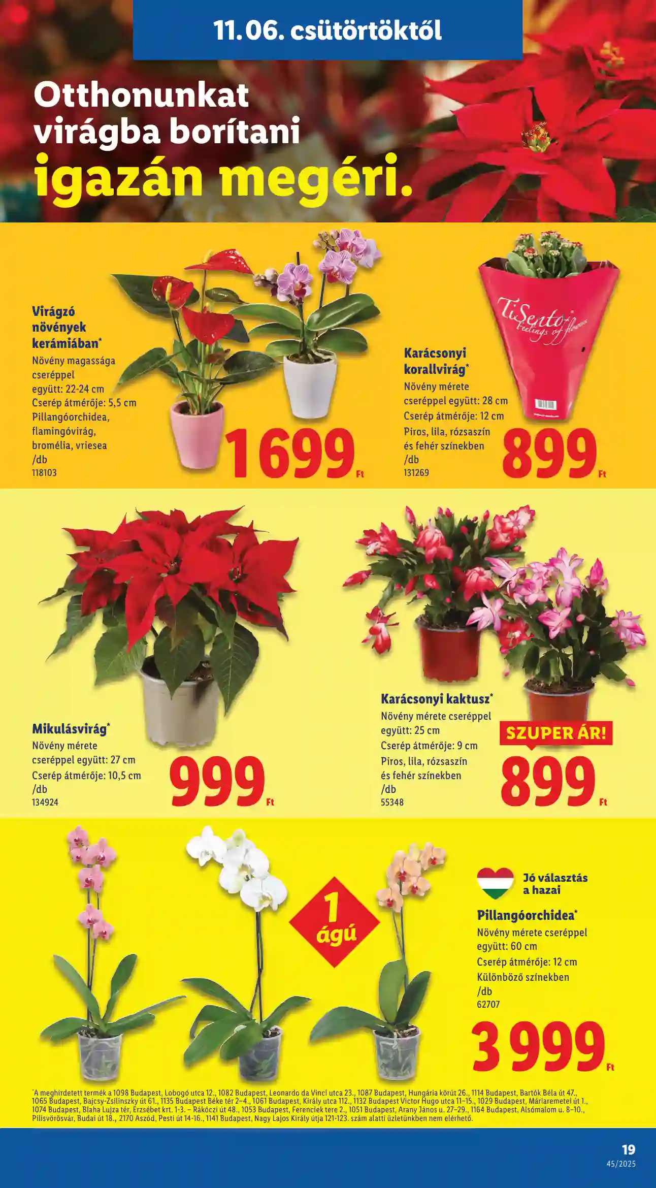 Lidl akciós újság 45. hét (Érvényes 11.06-tól) (11 oldal)