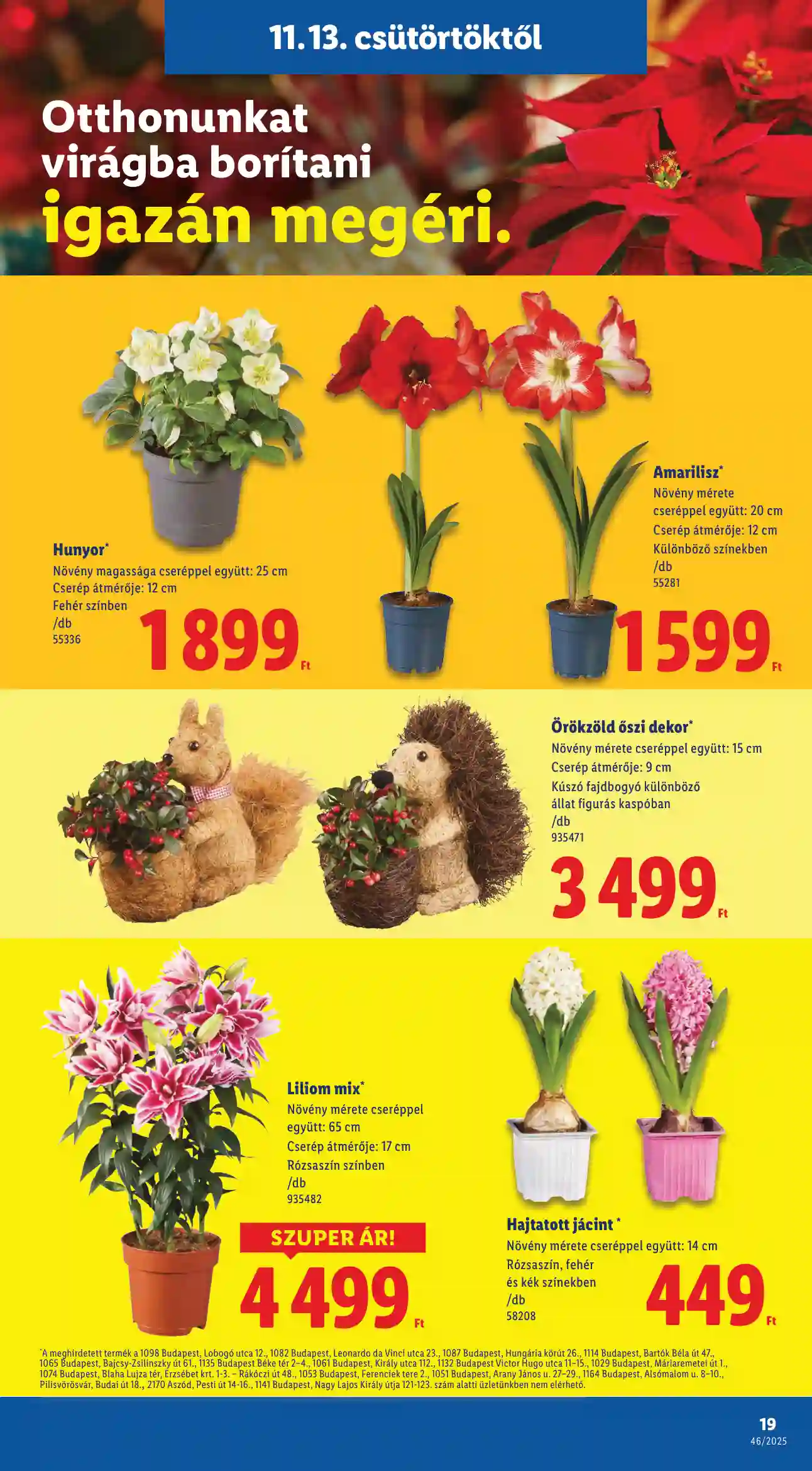 Lidl akciós újság 46. hét (Érvényes 11.13-től) (11 oldal)
