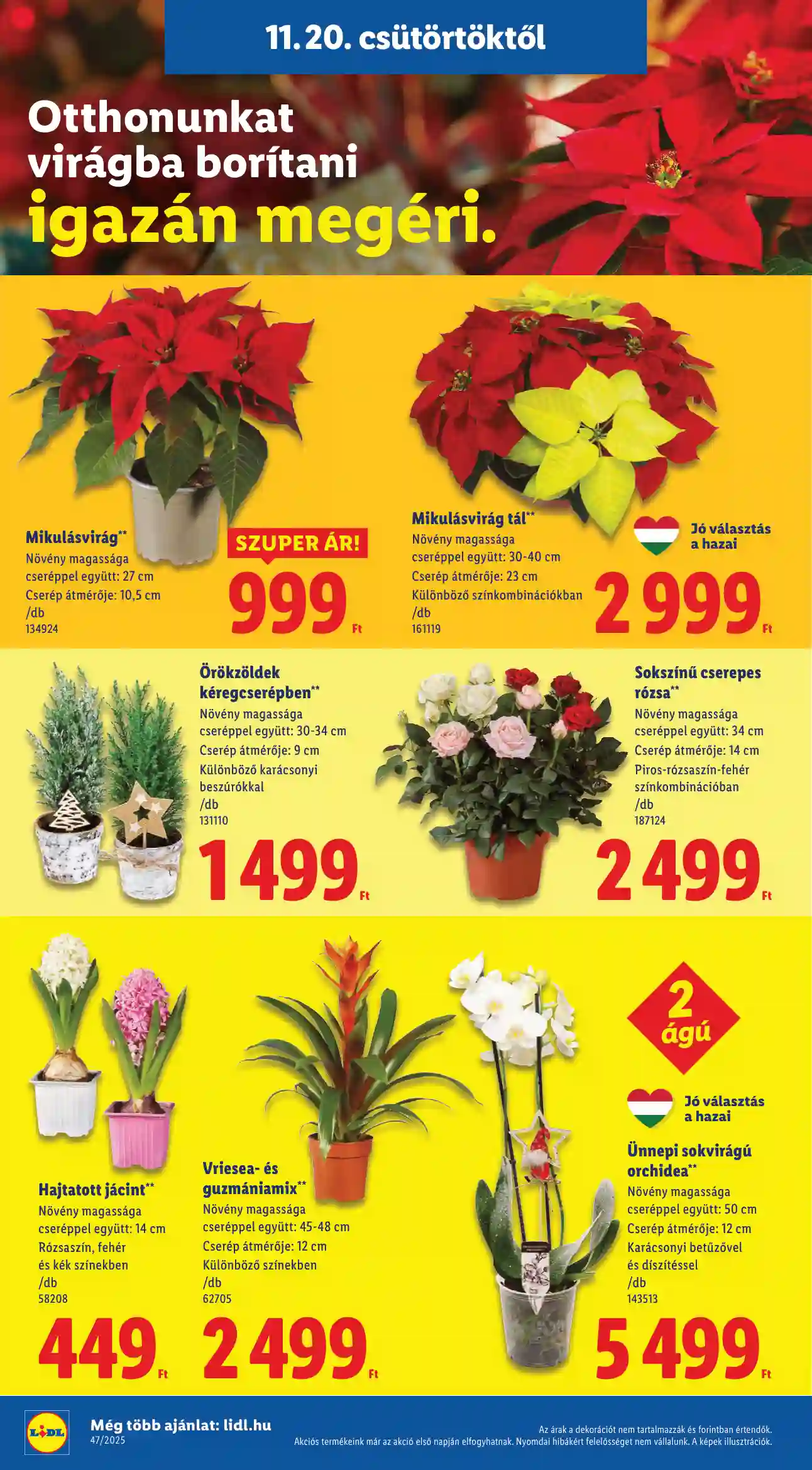 Lidl akciós újság 47. hét (Érvényes 11.20-tól) (46 oldal)