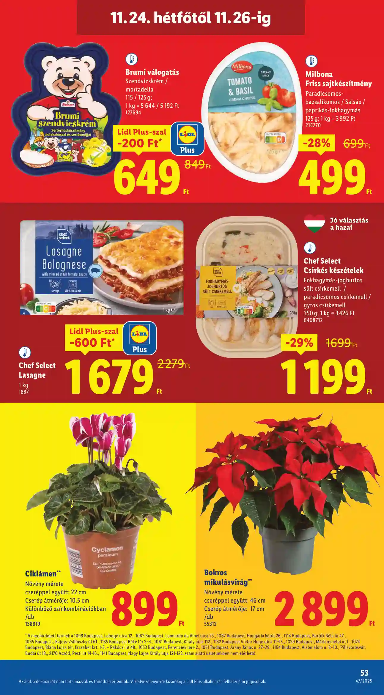 Lidl akciós újság 47. hét (Érvényes 11.20-tól) (49 oldal)