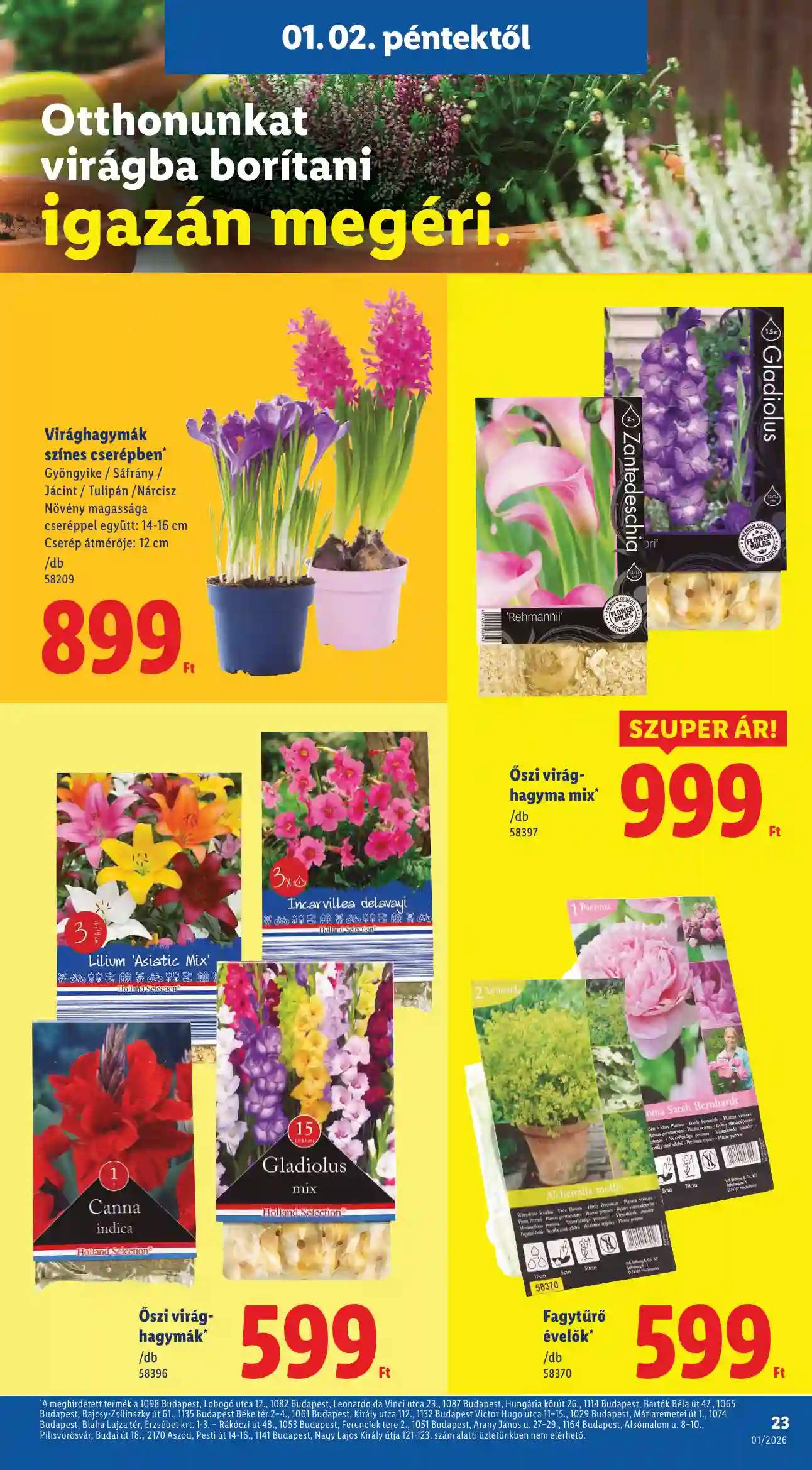 Lidl akciós újság 1. hét (Érvényes 01.02-től) (16 oldal)