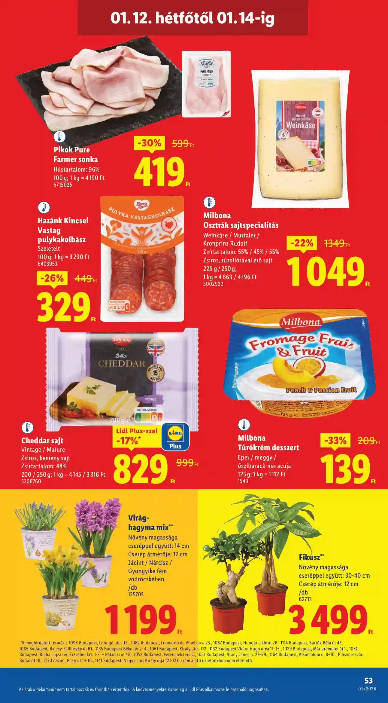 Lidl akciós újság 2. hét (Érvényes 01.08-tól) (49 oldal)