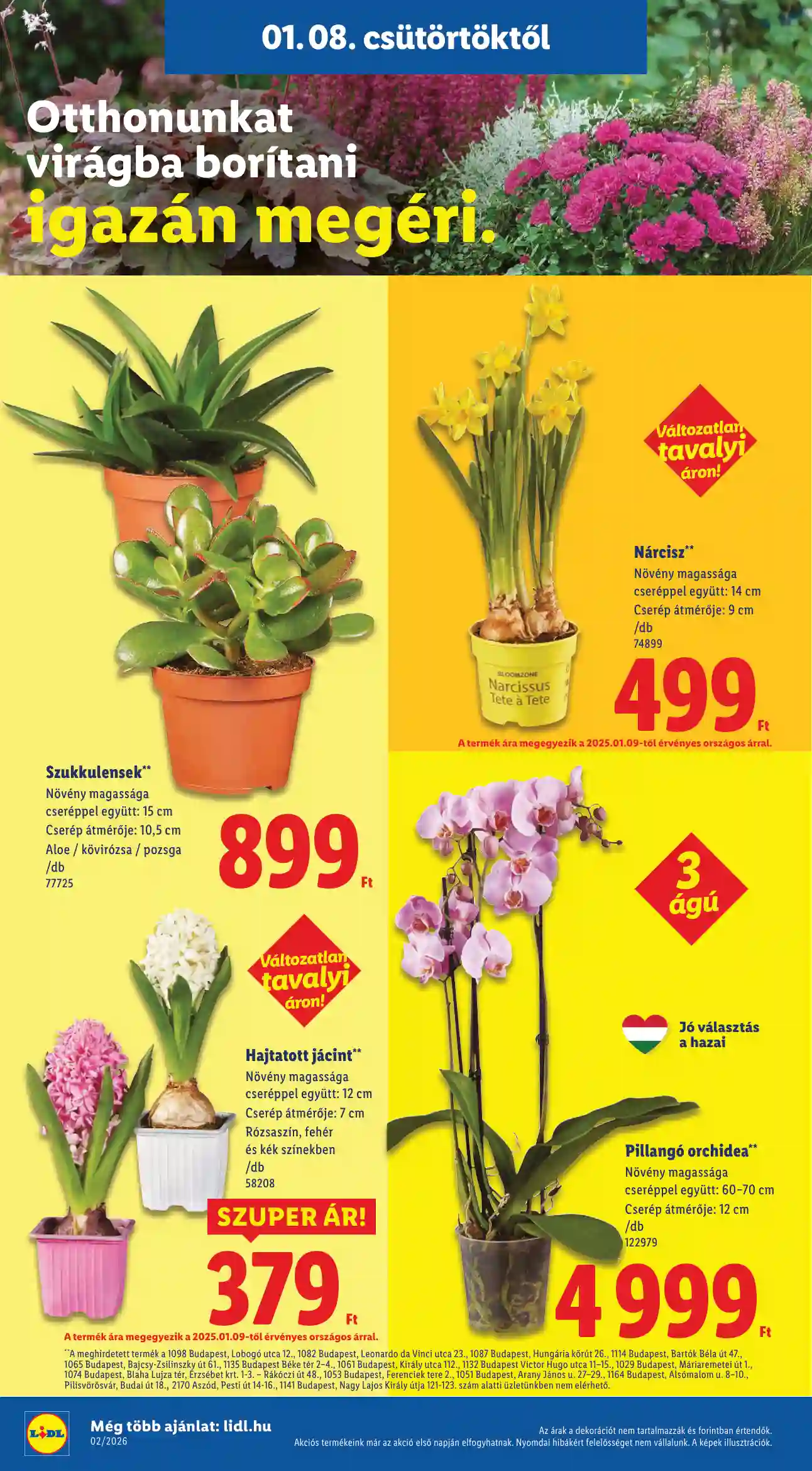 Lidl akciós újság 2. hét (Érvényes 01.08-tól) (17 oldal)