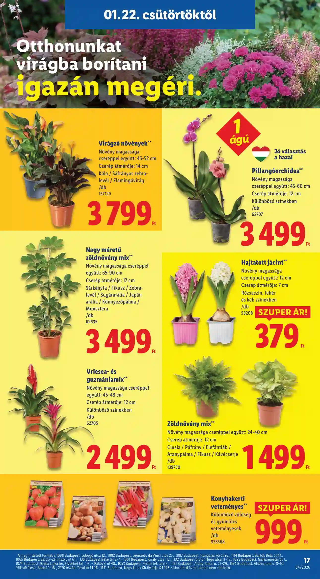 Lidl akciós újság 4. hét (Érvényes 01.22-től) (9 oldal)