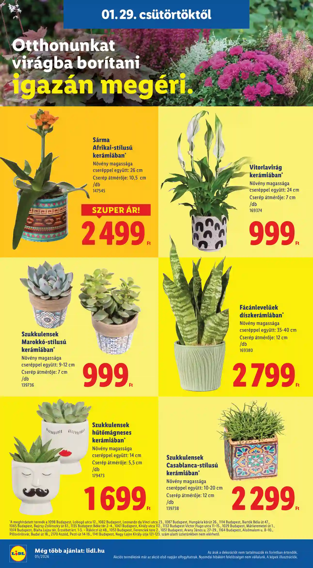 Lidl akciós újság 5. hét (Érvényes 01.29-től) (12 oldal)