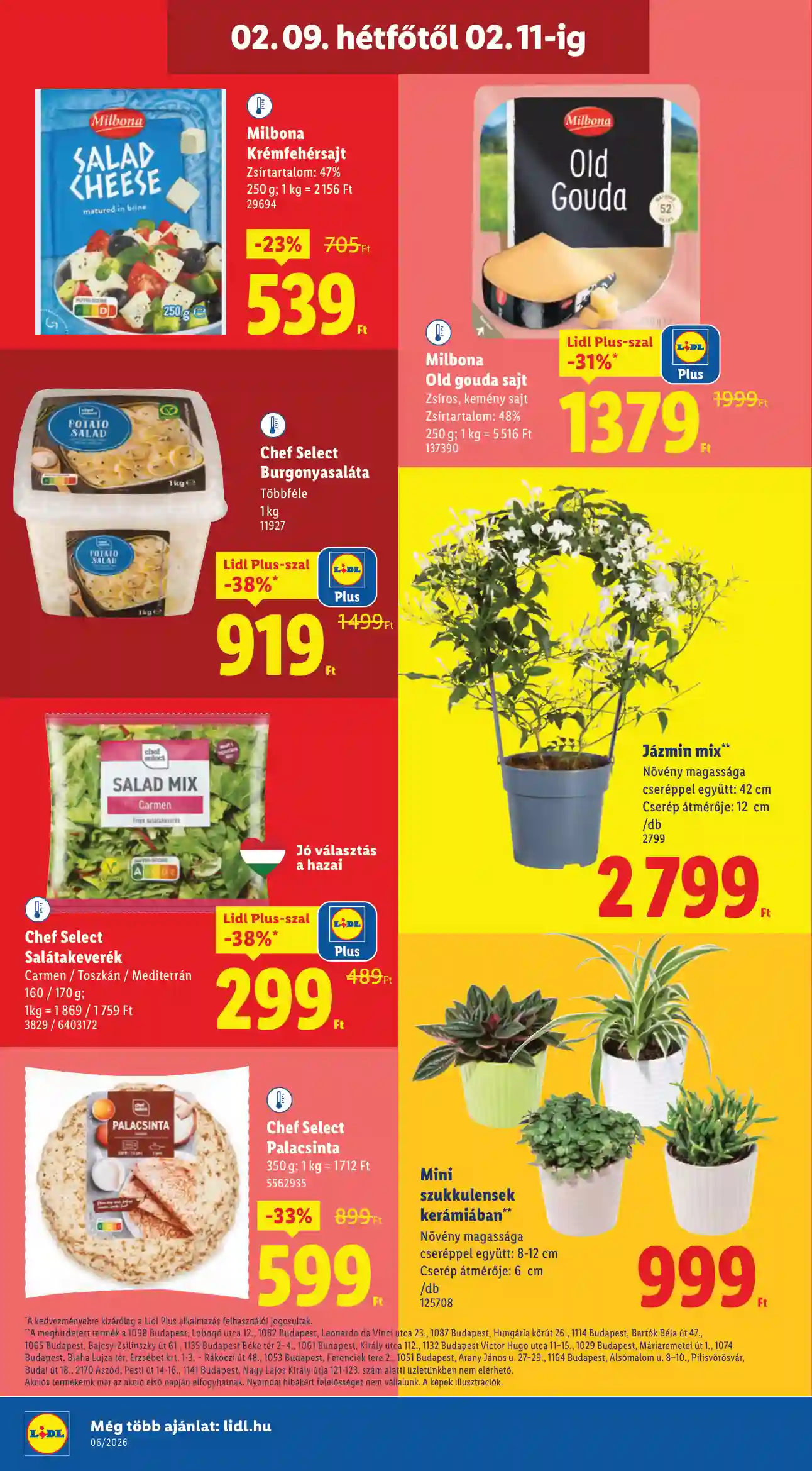 Lidl akciós újság 6. hét (Érvényes 02.05-től) (56 oldal)