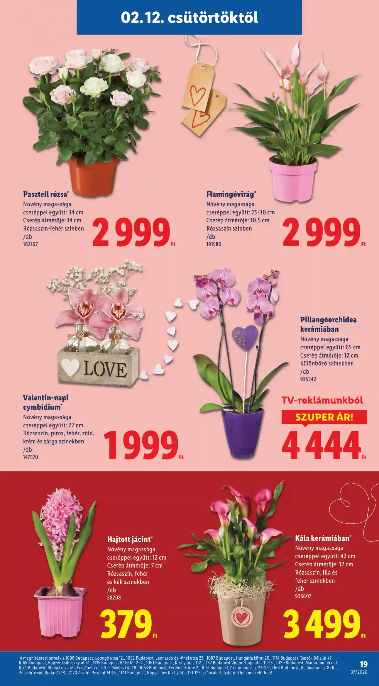 Lidl akciós újság 7. hét (Érvényes 02.12-től) (11 oldal)