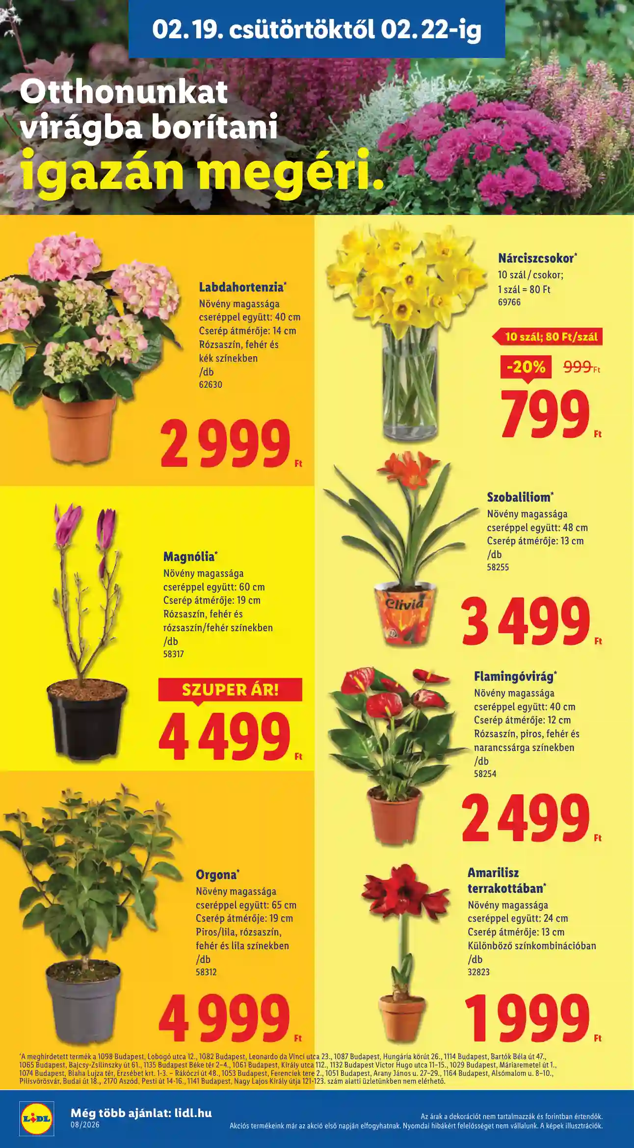 Lidl akciós újság 8. hét (Érvényes 02.19-től) (10 oldal)