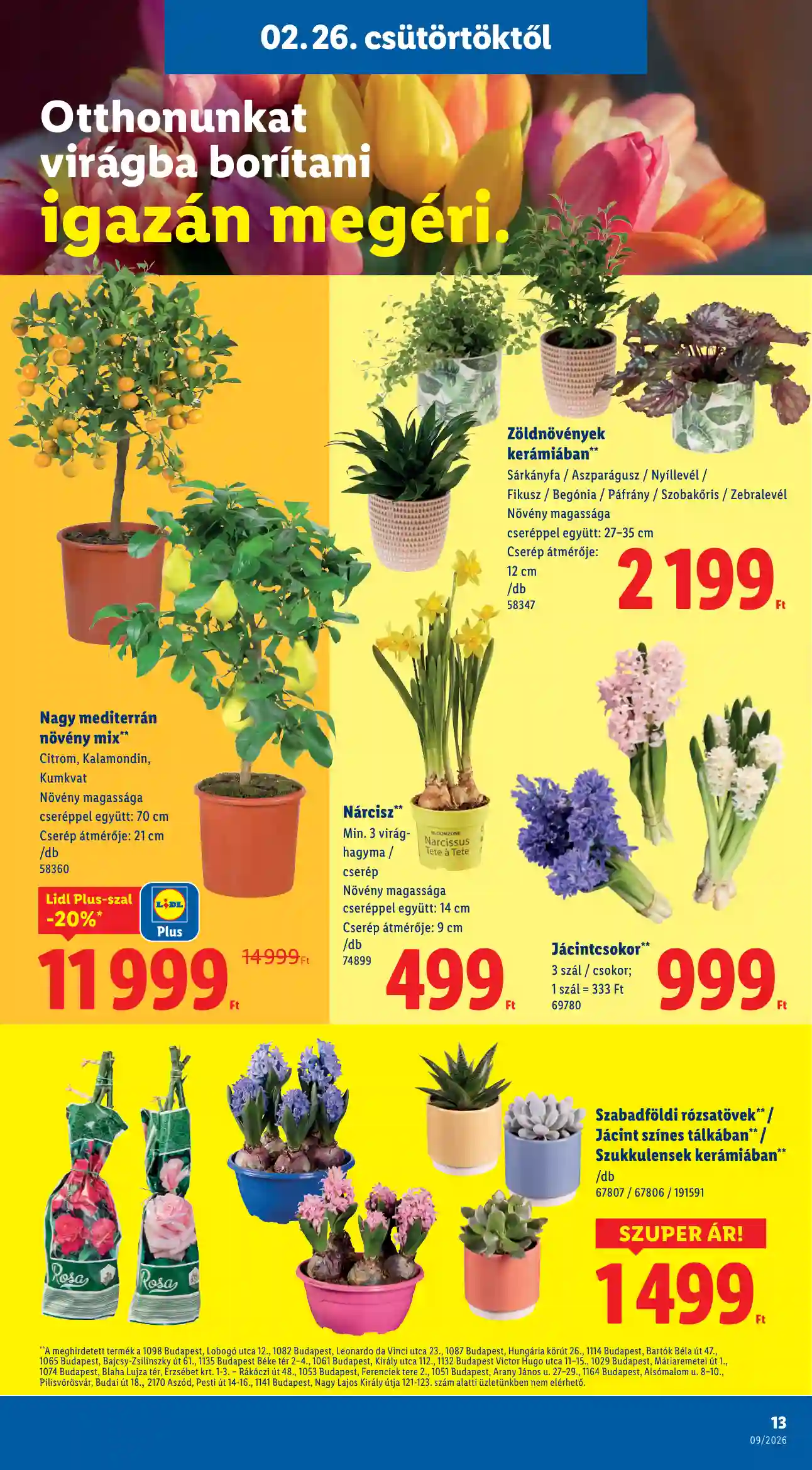 Lidl akciós újság 9. hét (Érvényes 02.26-tól) (9 oldal)