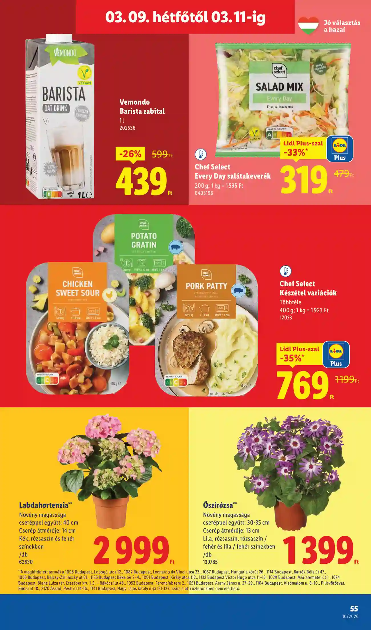Lidl akciós újság 10. hét (Érvényes 03.05-től) (51 oldal)
