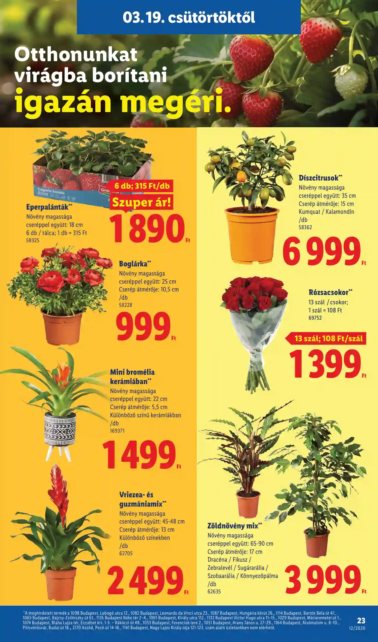 Lidl akciós újság 12. hét (Érvényes 03.19-től) (16 oldal)