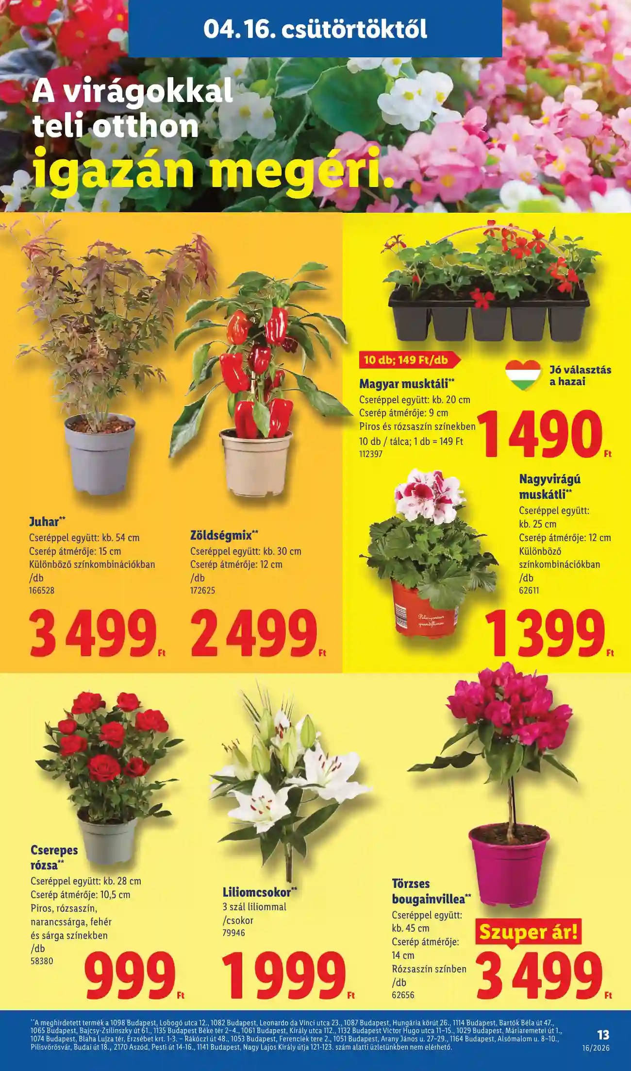 Lidl akciós újság 16. hét (Érvényes 04.16-tól) (5 oldal)
