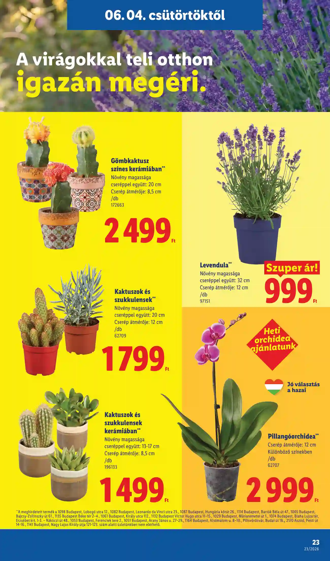 Lidl akciós újság 23. hét (Érvényes 06.04-től) (16 oldal)