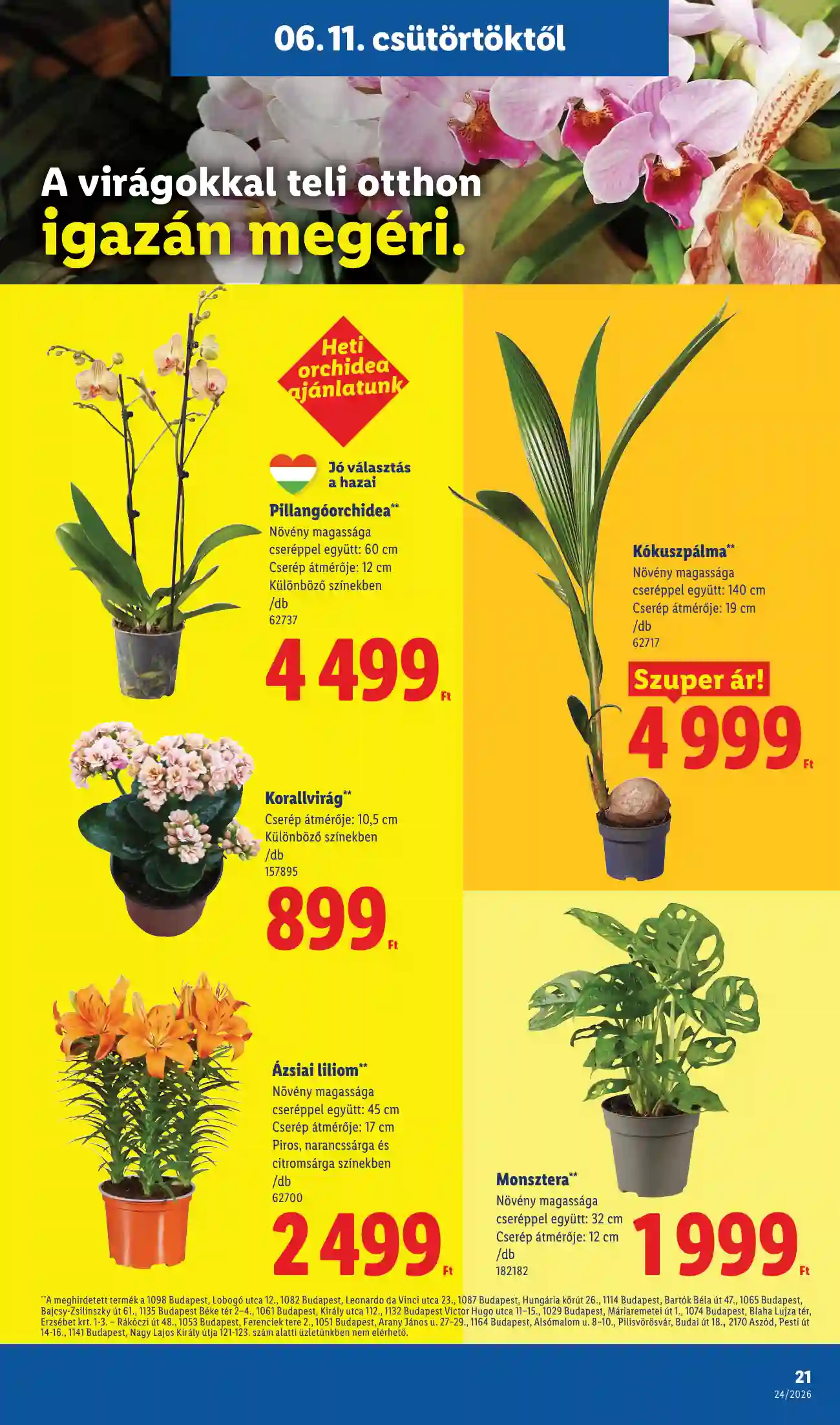 Lidl akciós újság 24. hét (Érvényes 06.11-től) (14 oldal)