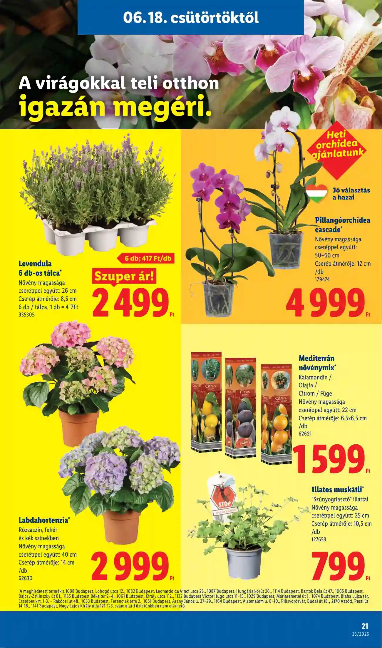 Lidl akciós újság 25. hét (Érvényes 06.18-tól) (14 oldal)