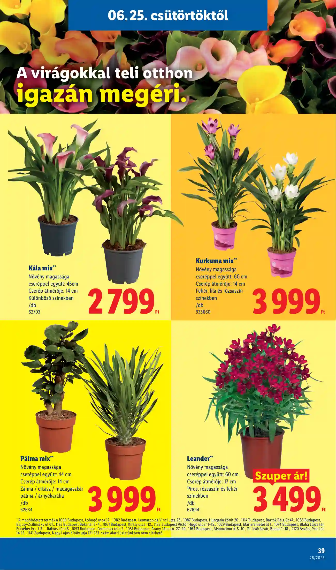 Lidl akciós újság 26. hét (Érvényes 06.25-től) (33 oldal)