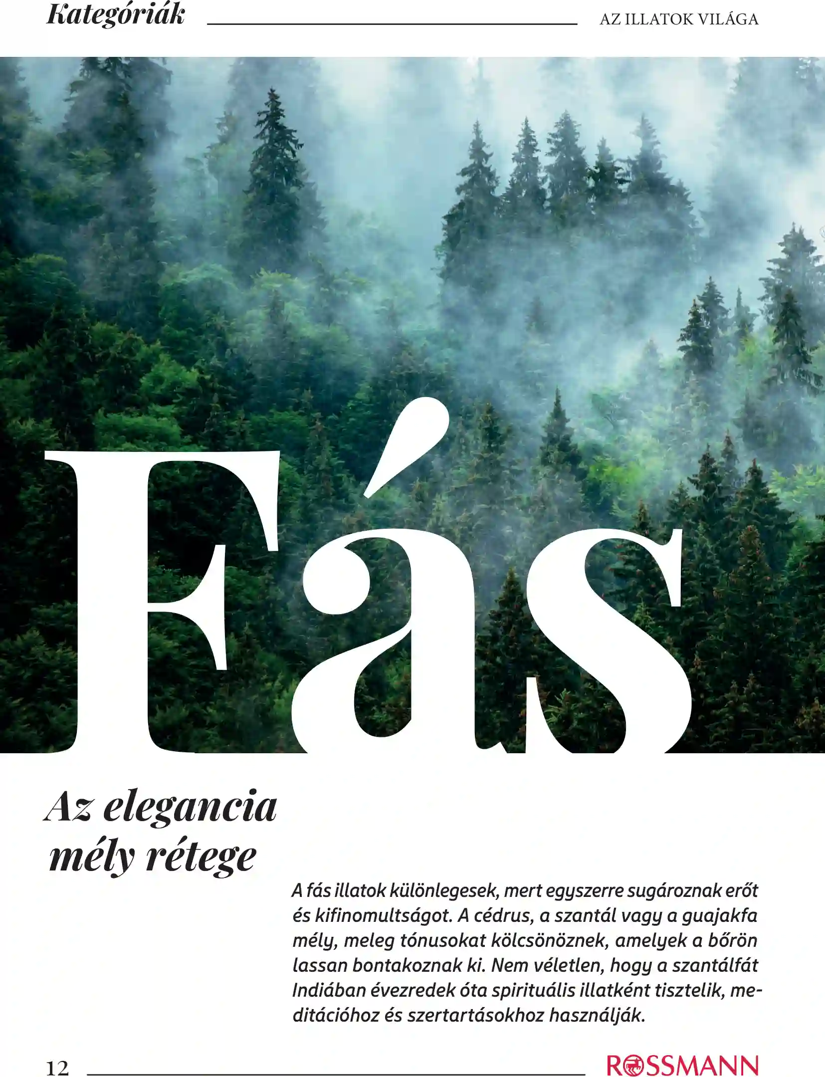 Rossmann akciós újság 42. hét (4 oldal)
