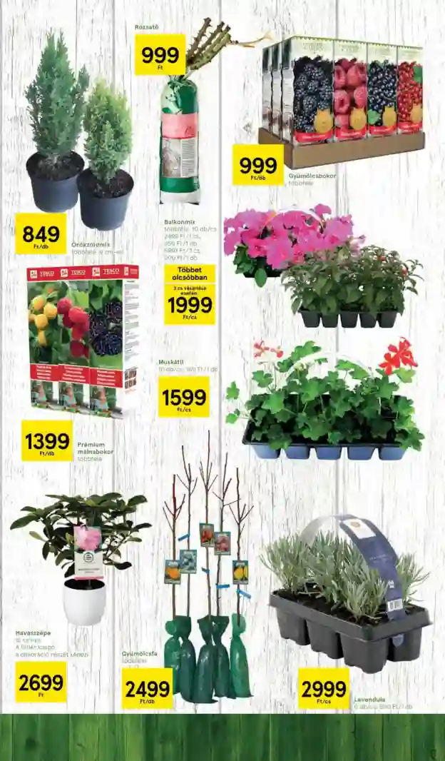 Tesco akciós újság 10. hét (9 oldal)
